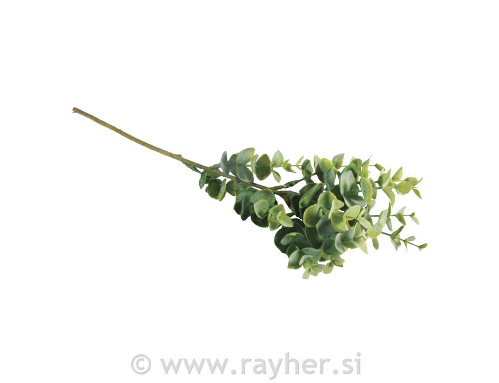 Boxwood twig40cm