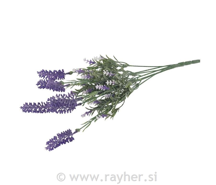 Mazzo di lavanda, 15x46cm